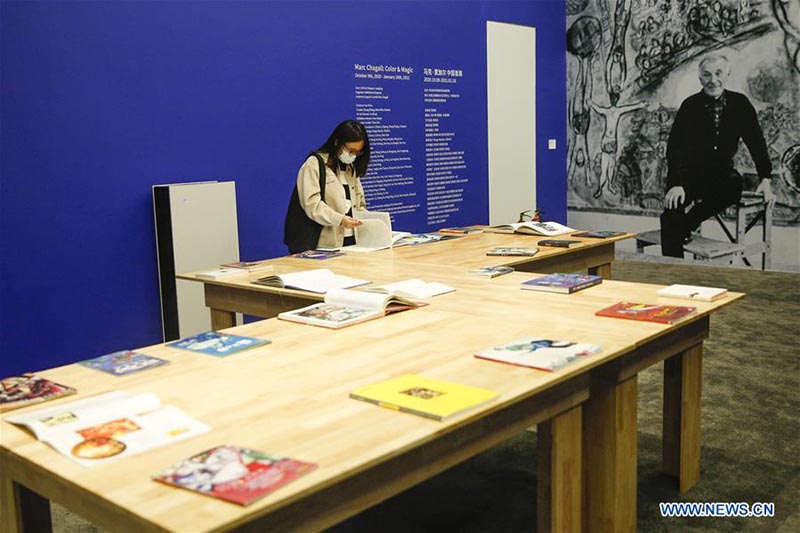 Inauguration d'une exposition d'oeuvres de Marc Chagall dans le nord de la Chine