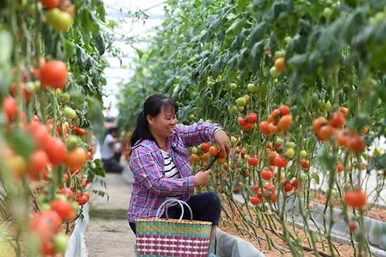 La campagne anti-pauvreté de la Chine va bient?t se terminer
