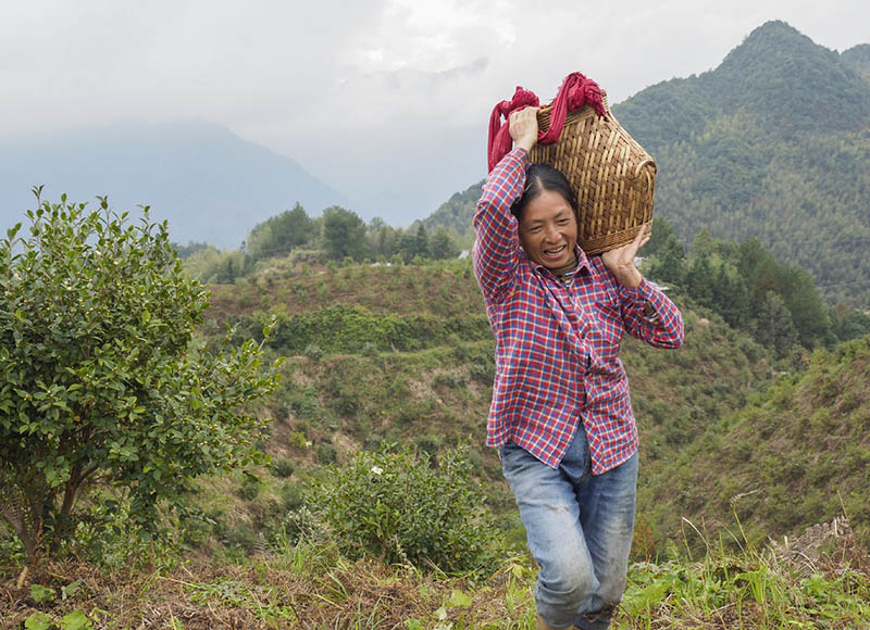 La Chine annonce sa récolte d'automne