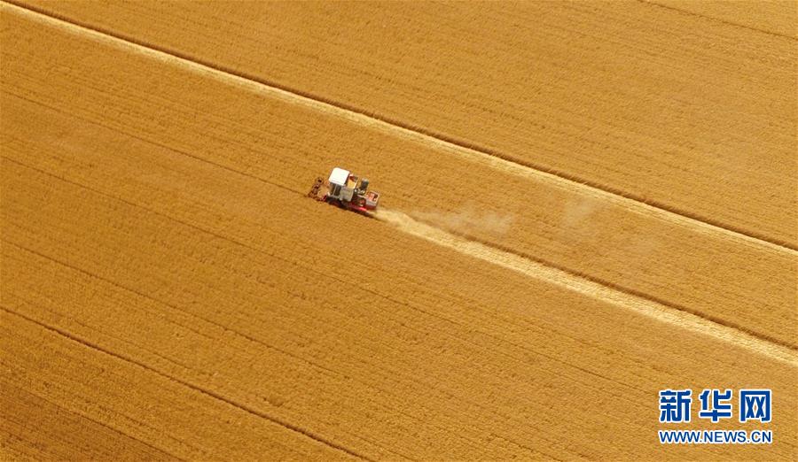 La Chine doit accro?tre sa production de céréales pour assurer sa sécurité alimentaire
