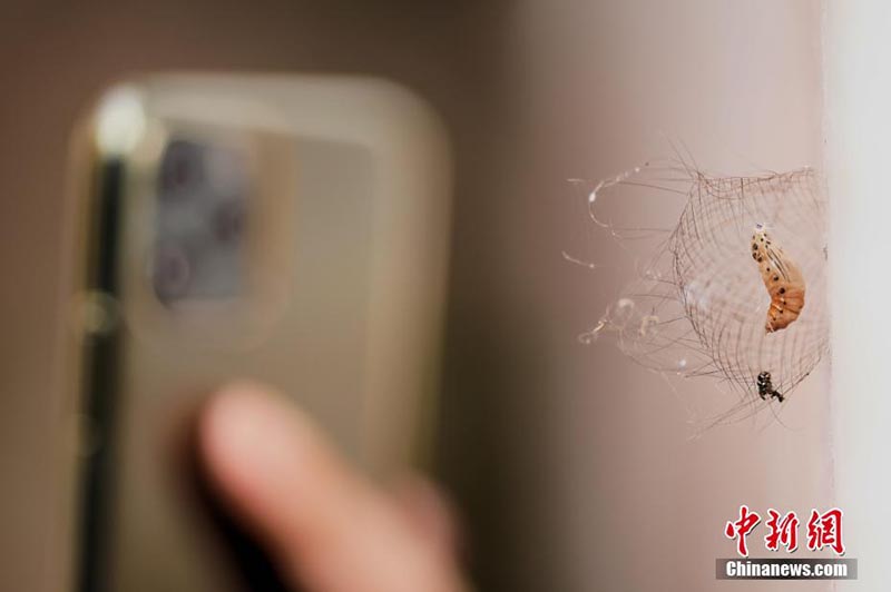 Yunnan : la ? Semaine de promotion de la conservation de la biodiversité ? à Xishuangbanna