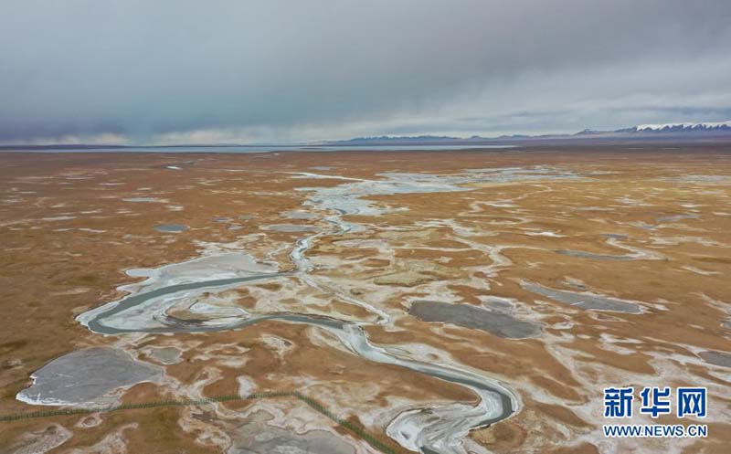 Une ? maternelle ? pour les antilopes du Tibet à Kekexili, dans la province du Qinghai