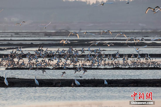 Les sacrifices pro-environnement de la Chine lui permettront de récolter des gains plus importants