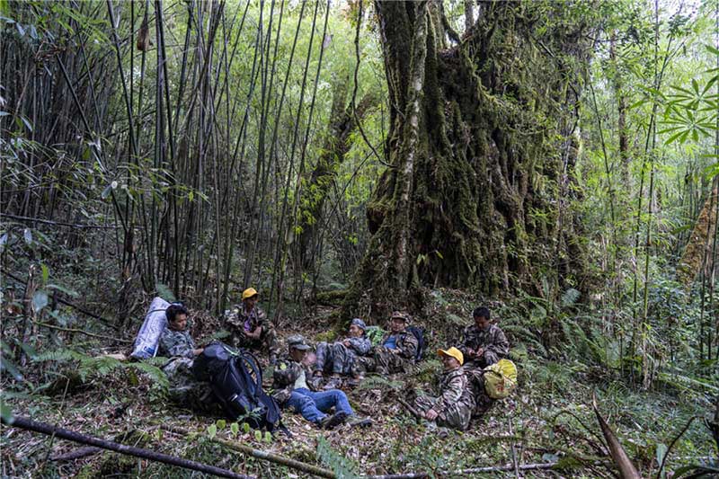 Les patrouilleurs aident à préserver l'aspect sauvage de la vie dans le Yunnan