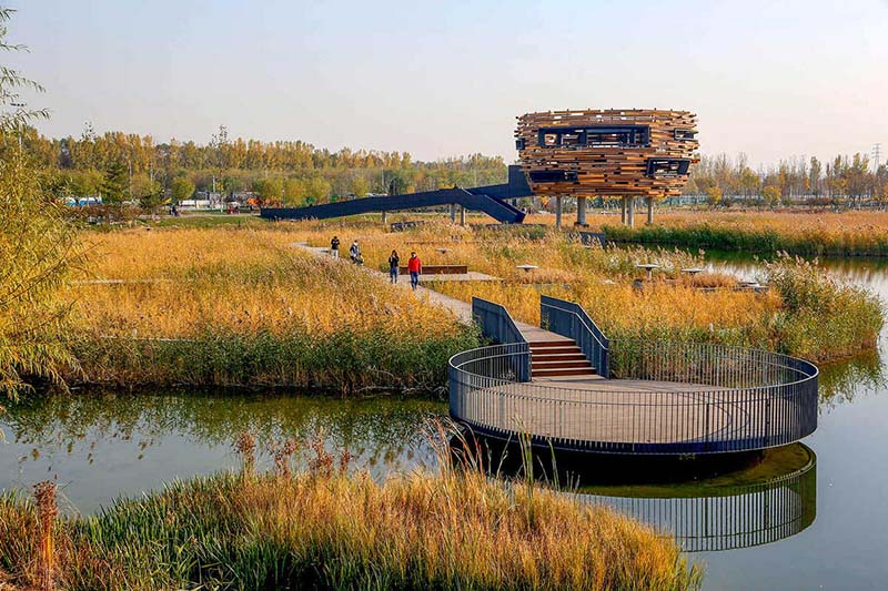 La restauration des zones humides à Beijing va recevoir une nouvelle impulsion