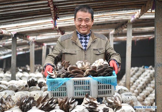 Le ministère de l'Agriculture donne les grandes lignes de la croissance du secteur rural