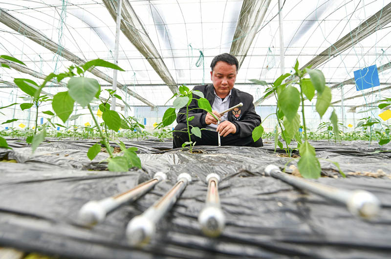 Comment un couple est passé du statut de travailleurs migrants à celui d'agriculteurs professionnels