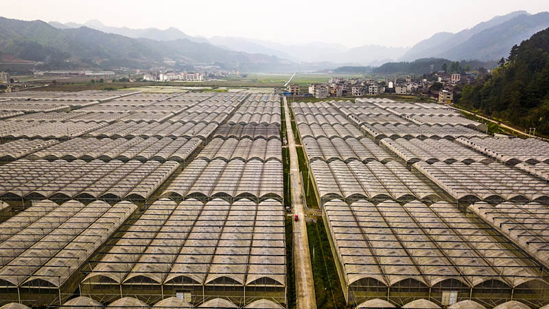 Comment un couple est passé du statut de travailleurs migrants à celui d'agriculteurs professionnels