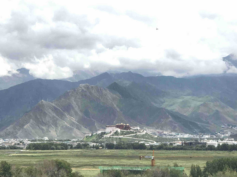 Une enquête sur la faune du Tibet révèle la découverte de 5 nouvelles espèces