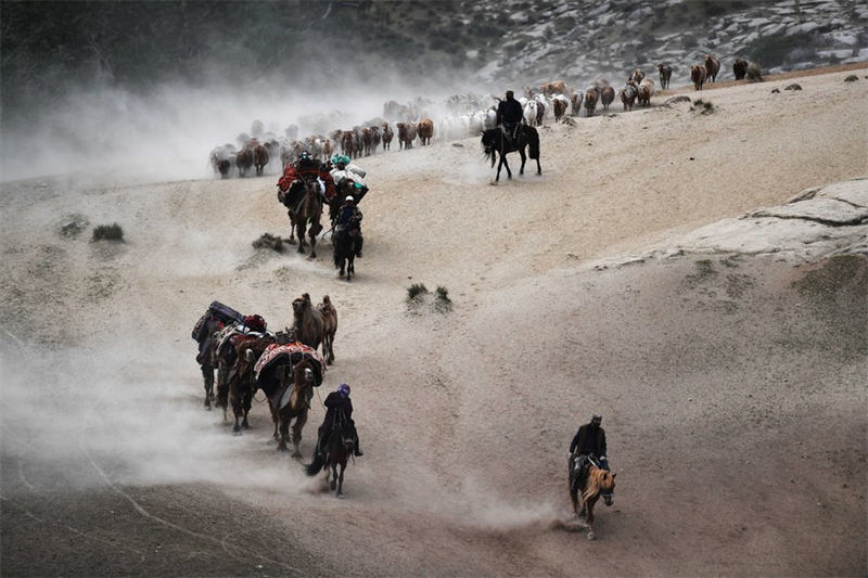En route pour les paturages d'été au Xinjiang