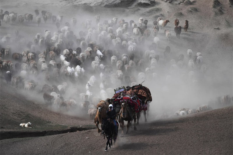 En route pour les paturages d'été au Xinjiang