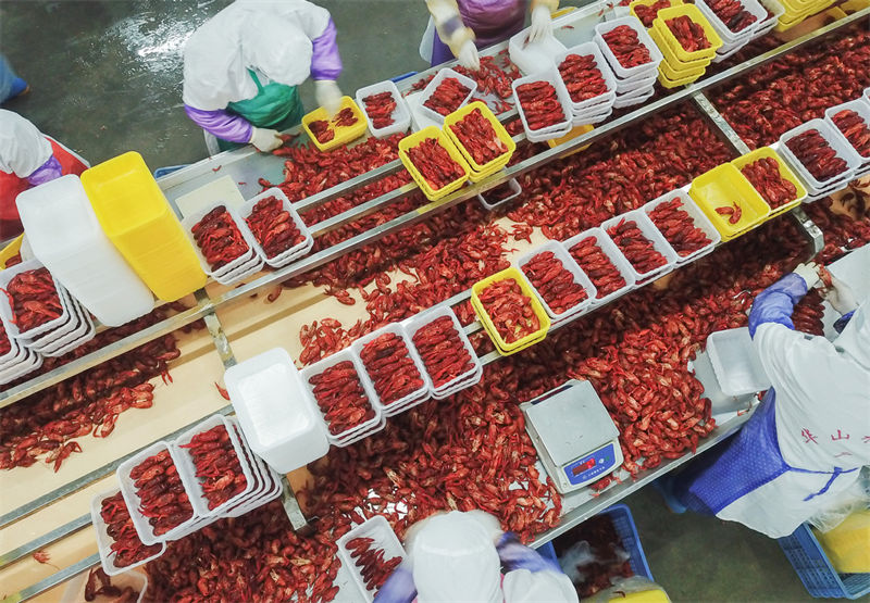 L'écrevisse, une prise chanceuse pour la province du Hubei