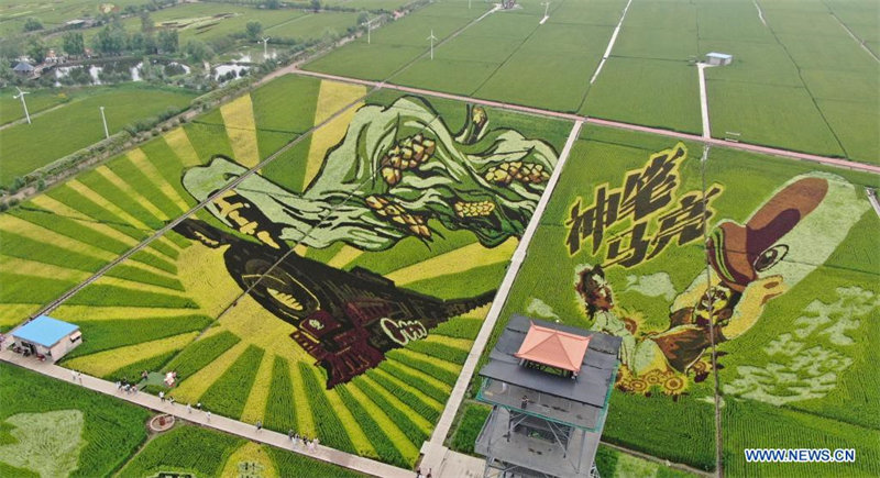 Images : l'art des rizières à Shenyang, dans le Liaoning