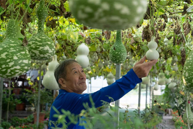 Le fruit de la prospérité