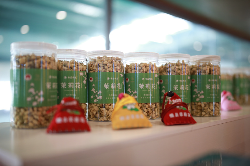 Hengzhou (Guangxi) : le jasmin contribue au redressement d'un village