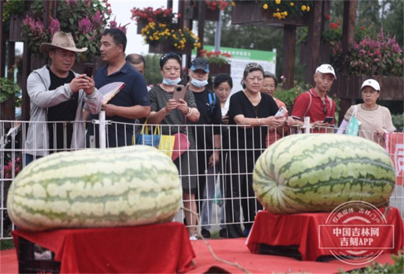 Jilin : des fruits et légumes géants suscitent l'admiration à l'Exposition internationale de l'agriculture et de l'alimentation