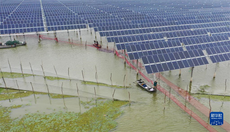 La saison de la pêche bat son plein dans le Jiangsu