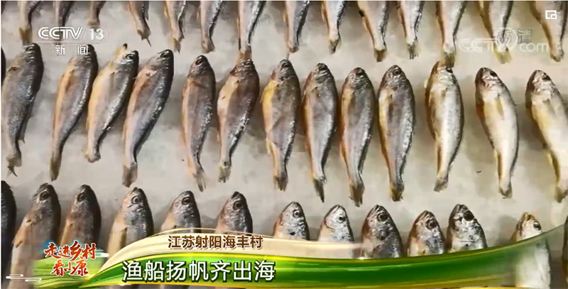 Les bateaux de pêche sous voile du village de Haifeng, dans le Jiangsu