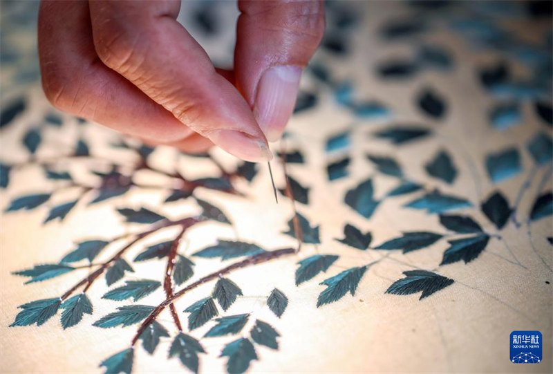 Tai Muxiang, brodeuse Dong : une nouvelle vie heureuse née de mains habiles