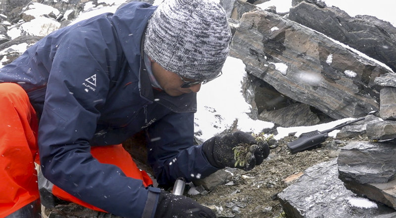 Dans la Banque de germoplasme des espèces sauvages du sud-ouest de la Chine, les graines peuvent vivre jusqu'à mille ans