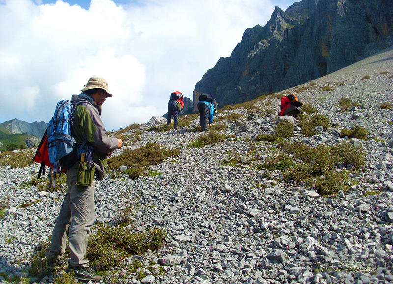 Dans la Banque de germoplasme des espèces sauvages du sud-ouest de la Chine, les graines peuvent vivre jusqu'à mille ans