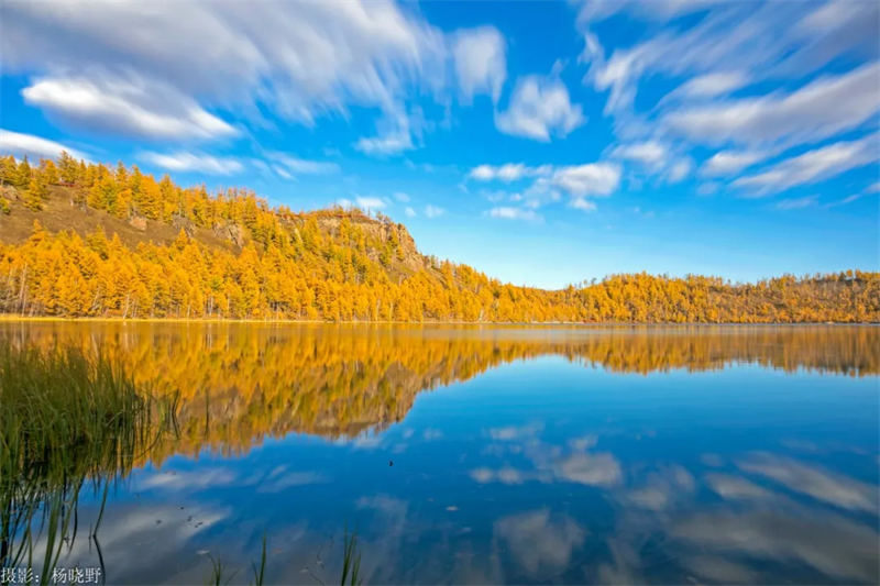 Les paysages automnaux d'Arxan sont comme un monde de contes de fées