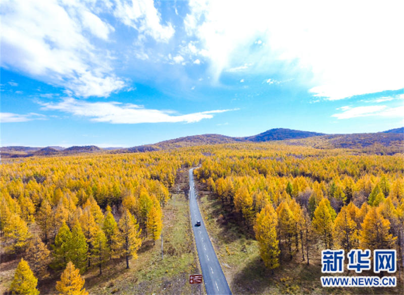 Les paysages automnaux d'Arxan sont comme un monde de contes de fées