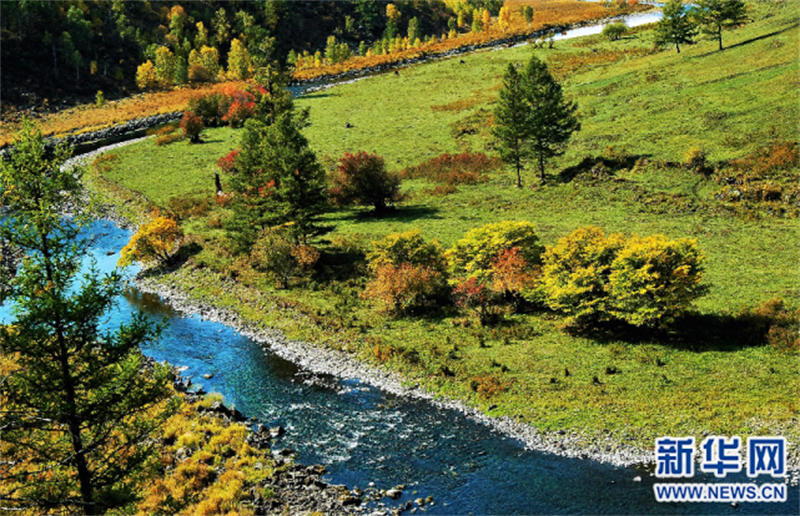 Les paysages automnaux d'Arxan sont comme un monde de contes de fées