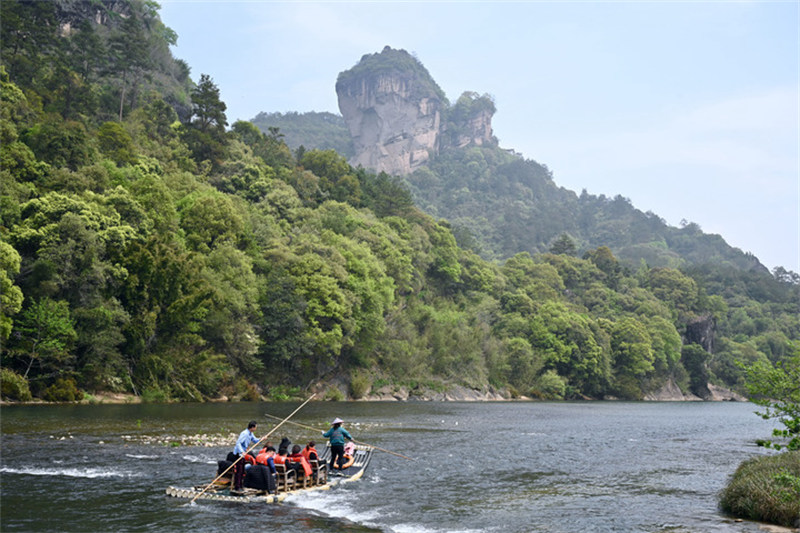Cinq parcs nationaux vont servir de ? salles de classe ? pour la conservation de la nature en Chine