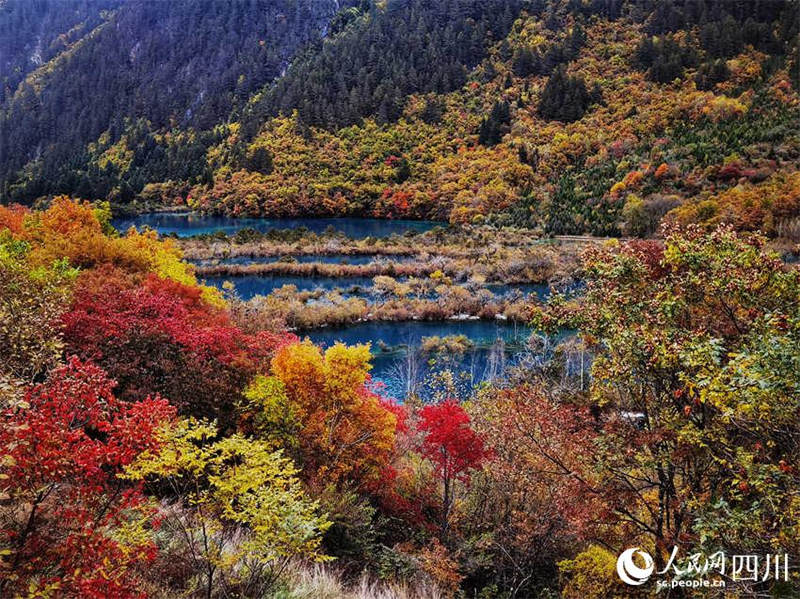 L'automne pittoresque de la vallée de Jiuzhaigou, dans le Sichuan