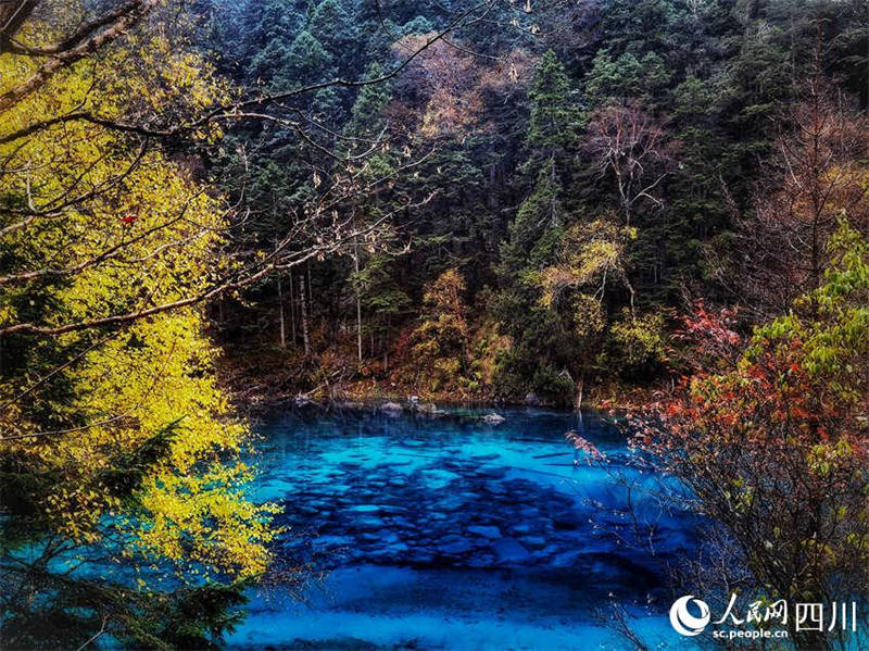 L'automne pittoresque de la vallée de Jiuzhaigou, dans le Sichuan