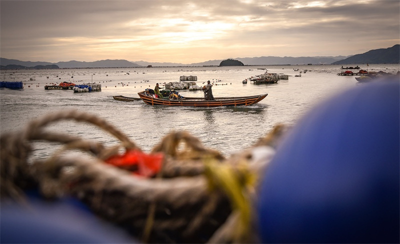 Découvrez la vie simple et idyllique des pêcheurs d'un petit village du Fujian