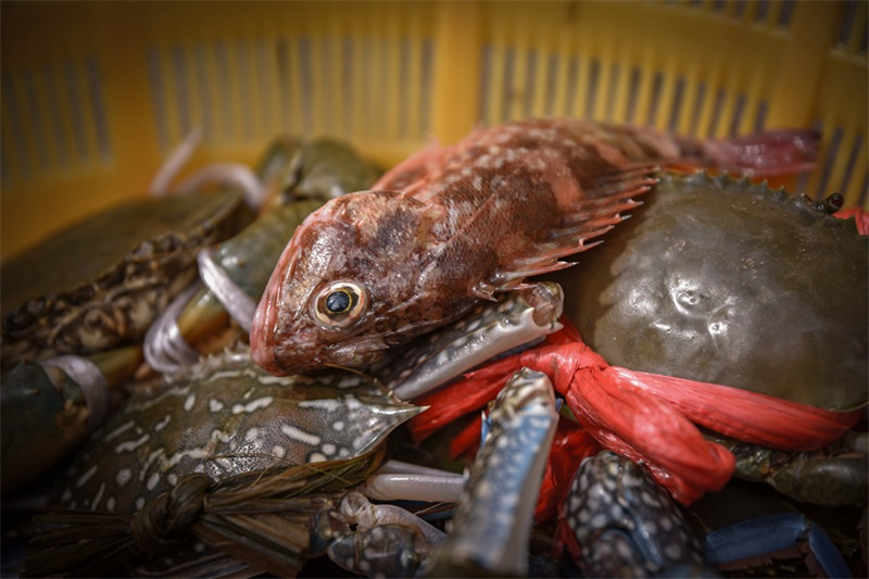 Découvrez la vie simple et idyllique des pêcheurs d'un petit village du Fujian