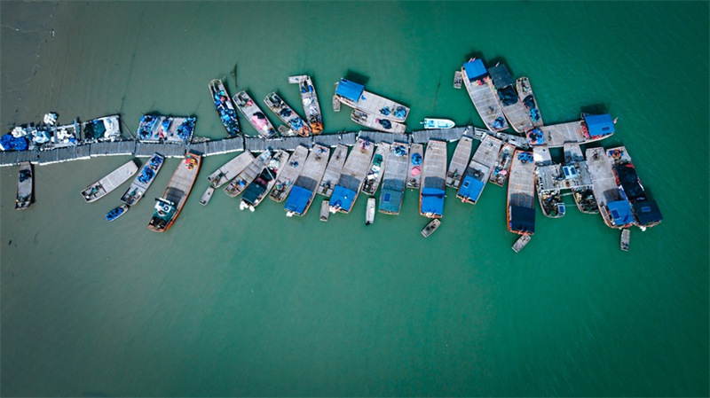 Découvrez la vie simple et idyllique des pêcheurs d'un petit village du Fujian