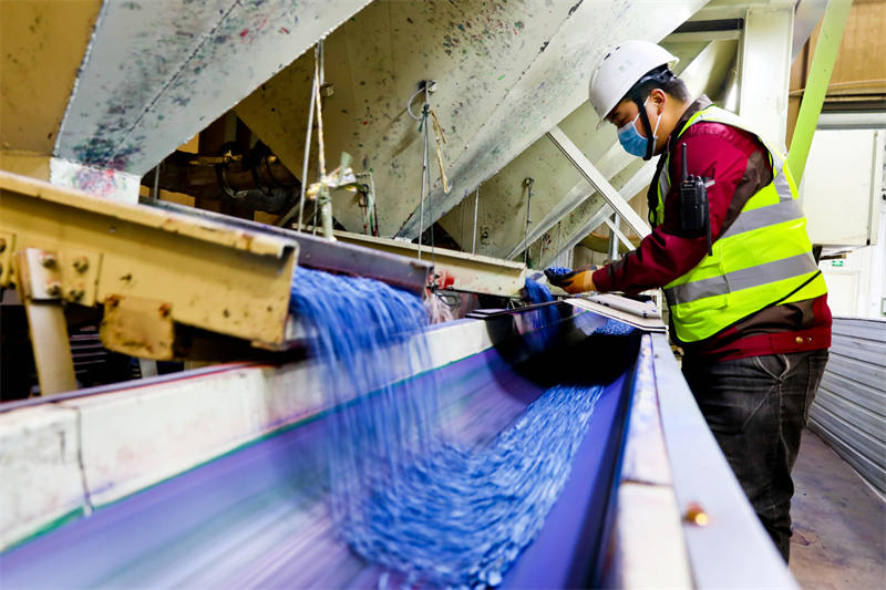 Zhangye, dans le Gansu : le traitement des grains de ma?s bat son plein