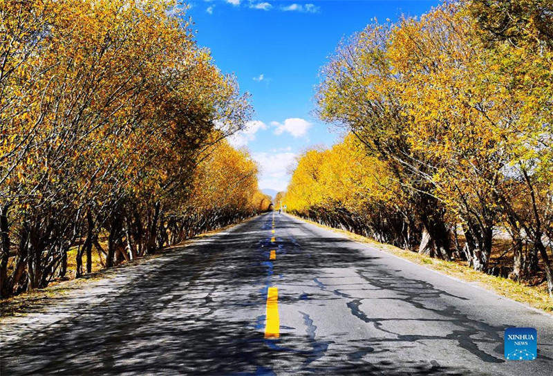 En photos : la vue d'une route au Tibet