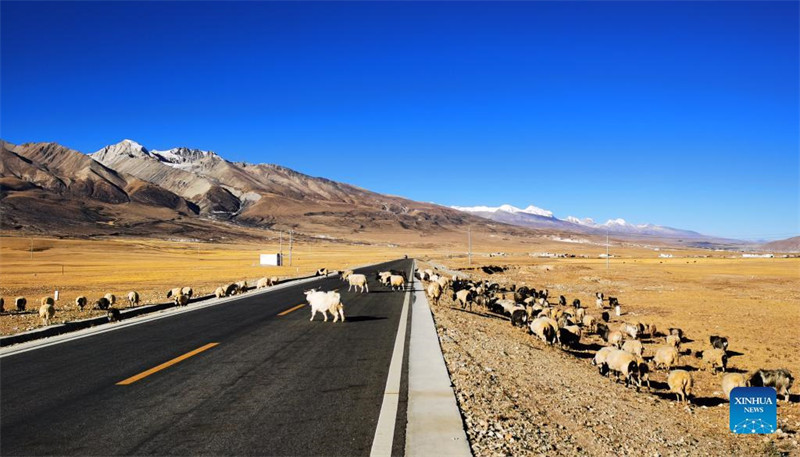 En photos : la vue d'une route au Tibet