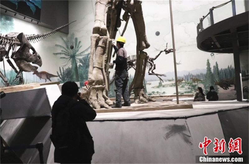 Shandong : à la découverte du plus grand dinosaure à bec de canard connu au monde