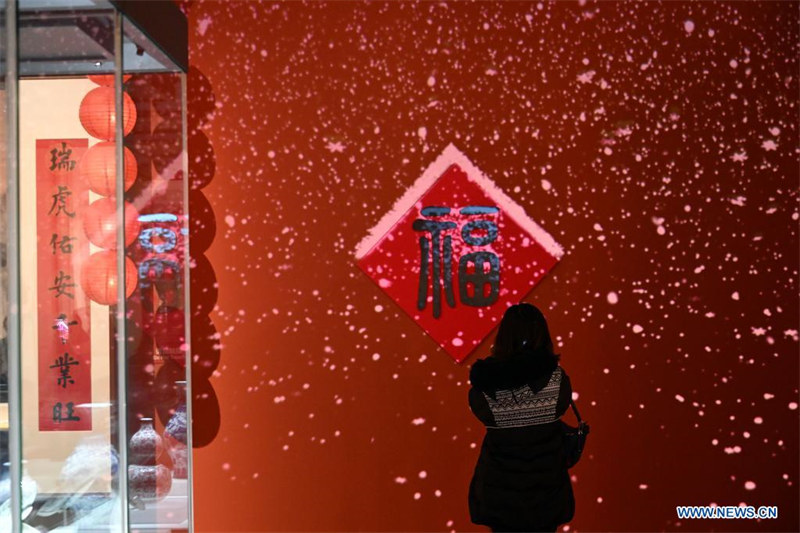 Chine : exposition festive pour l'année du Tigre