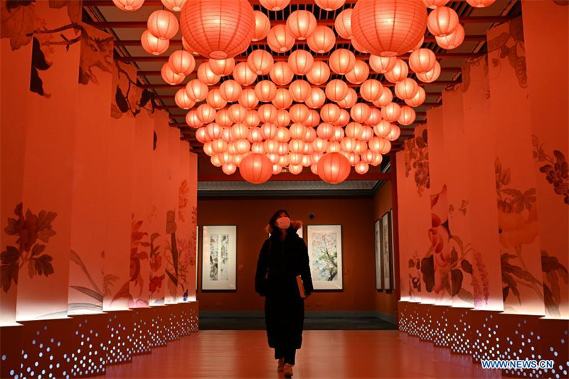 Chine : exposition festive pour l'année du Tigre