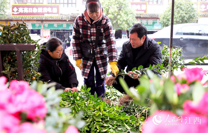 A Yifeng, dans la province du Jiangxi, les agriculteurs sont assidus et le printemps arrive t?t
