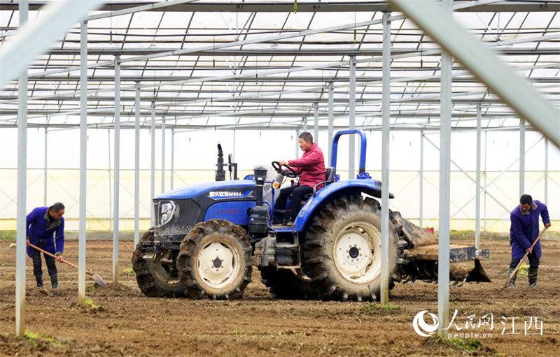 A Yifeng, dans la province du Jiangxi, les agriculteurs sont assidus et le printemps arrive t?t