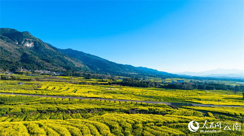 Yunnan : le ? grenier de Tengyue ? dans toute la beauté du printemps