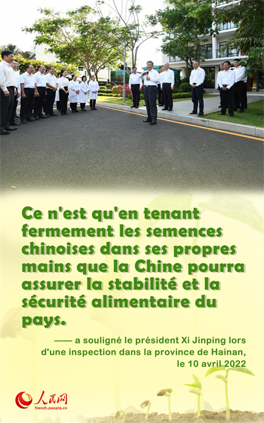 Xi Jinping souligne la nécessité d'assurer la stabilité et la sécurité alimentaires de la Chine
