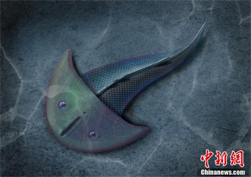 Un nouveau poisson eugaleaspide agé de 410 millions d'années découvert en Chine