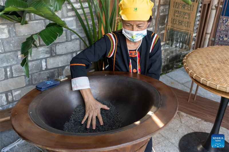 Ouverture d'une exposition culturelle sur la forêt tropicale au Forum de Bo'ao pour l'Asie