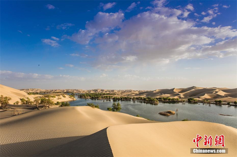 Xinjiang : découvrez l'?le de Hulu au début de l'été