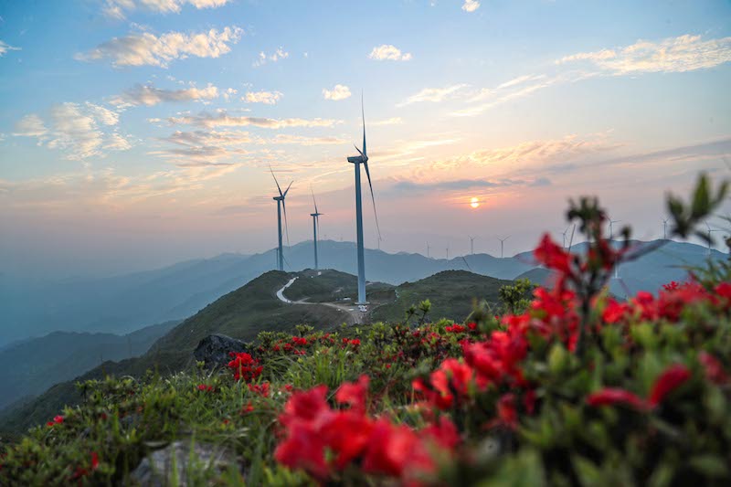 Les efforts de protection de l'environnement à Guangchang, dans le Jiangxi