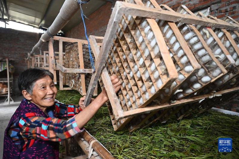 Sichuan : les villageois s'affairent aux activités agricoles