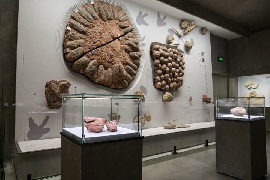 Les fossiles d'embryons d'hadrosaurus les mieux conservés au monde découverts dans le sud-est de la Chine